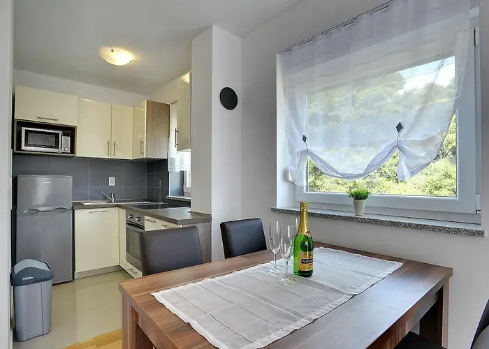 Apartman Robert Medulin